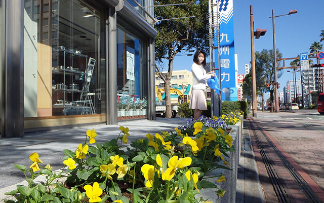 宮崎を花いっぱいに‐「花の植栽活動」‐のイメージ