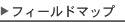 フィールドマップ