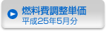 燃料費調整単価　平成25年５月分