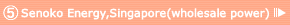 5.Senoko Energy,Singapore (wholesale power)