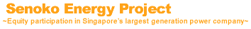 Senoko Energy Project-Equity participation in Singapore's largest generation power company-