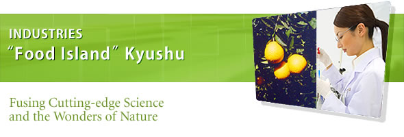 INDUSTRIES
"Food Island" Kyushu
Fusing Cutting-edge Science and the Wonders of Nature
