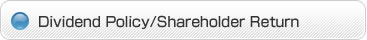Dividend Policy/Shareholder Return