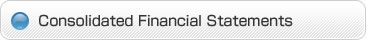 Consolidated Financial Statements