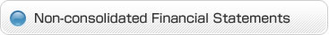 Non-consolidated Financial Statements