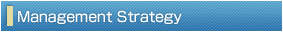 Management Strategy