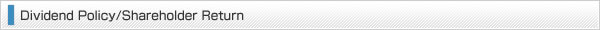 Dividend Policy/Shareholder Return