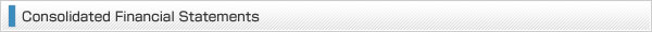 Consolidated Financial Statements