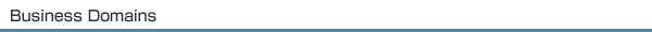 Business Domains