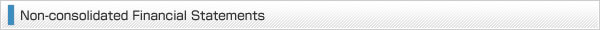 Non-consolidated Financial Statements