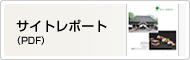 サイトレポート（PDF）