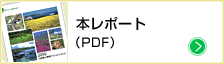 本レポート（PDF）