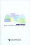 PRESENT STATUS OF NUCLEAR POWER DEVELOPMENT