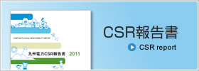 CSR報告書