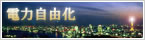 電力自由化