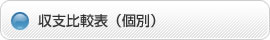 収支比較表（個別）
