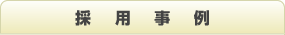 採用事例