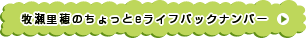 牧瀬里穂のちょっとeライフバックナンバー