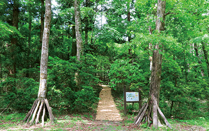 「くじゅう九電の森」の入口の写真