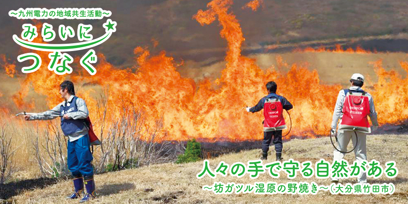 九州電力の地域共生活動 みらいにつなぐ 人々の手で守る自然がある 坊ガツル湿原の野焼き（大分県竹田市）