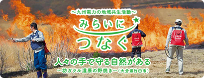 九州電力の地域共生活動 みらいにつなぐ 人々の手で守る自然がある 坊ガツル湿原の野焼き（大分県竹田市）