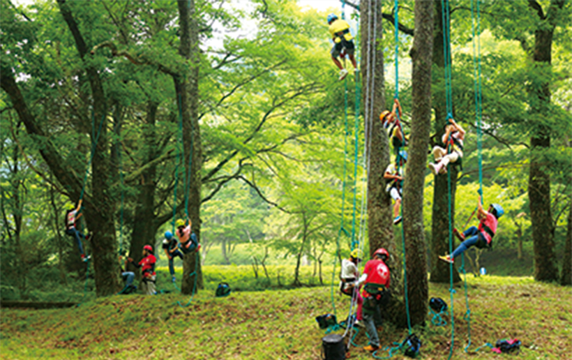 くじゅう九電の森で木登り体験をおこなっている様子の写真