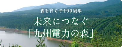 九州電力の地域共生活動 みらいにつなぐ 森を育てて100周年 未来につなぐ「九州電力の森」