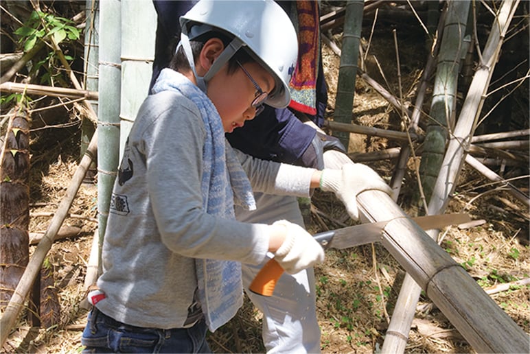 福岡市志賀島での竹林整備活動の様子の写真