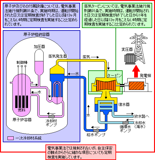 定期検査に関する図解