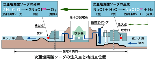 次亜塩素酸ソーダの注入点と検出点位置