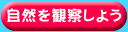 自然を観察しよう