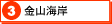 ３　金山海岸（別ウインドウ）