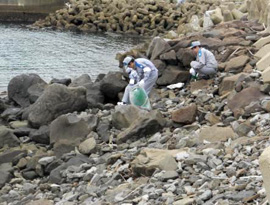 玄海原子力発電所周辺の海岸清掃ボランティアの様子