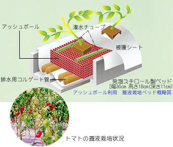 石炭灰を用いた農作物の養液栽培の図説