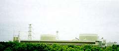 緑化された玄海原子力発電所周辺のようすの写真