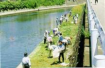 浦上川の清掃のようすの写真