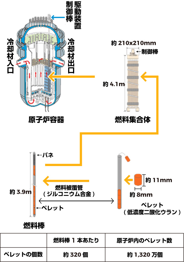 原子炉容器および燃料の構造の図説