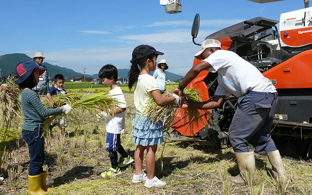 “こらぼらQでん「米作りプロジェクト‐稲刈り‐」を開催しましたのイメージ