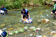 小川で川遊びの写真３