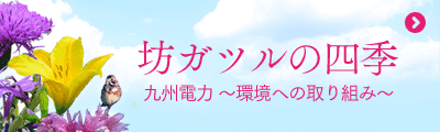坊ガツルの四季 坊ガツルの四季