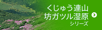 くじゅう連山・坊ガツル湿原シリーズ