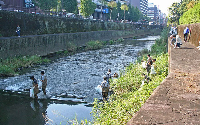 天下の名城「熊本城」内堀の清掃活動のイメージ