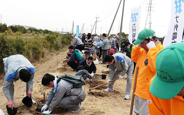 育てたどんぐりで森づくりのイメージ