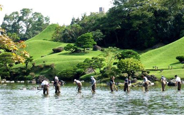 水前寺公園を美しく！のイメージ