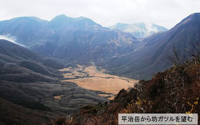 平治岳ミヤマキリシマ保護＆登山道整備（１）のイメージ
