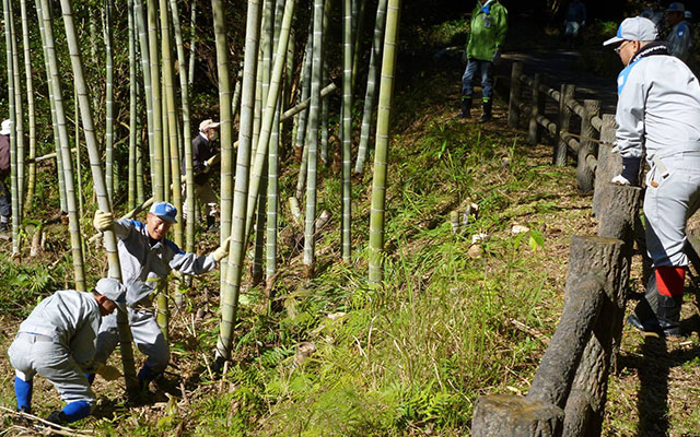 「こらぼらＱでん」‐扇尾地区の地区林整備を行いました‐のイメージ