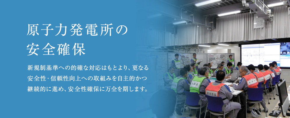 原子力発電所の安全確保
