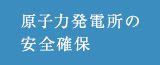 原子力発電所の安全確保