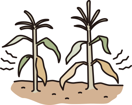 食料が足りなくなる！