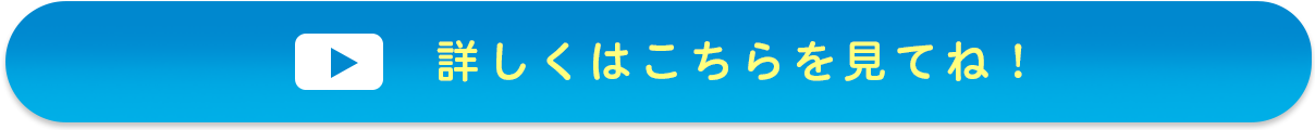 詳しくはこちらを見てね
